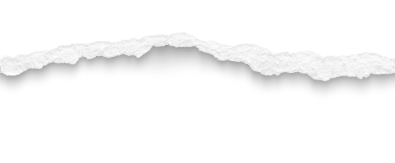 horizontal border depicting a torn paper edge