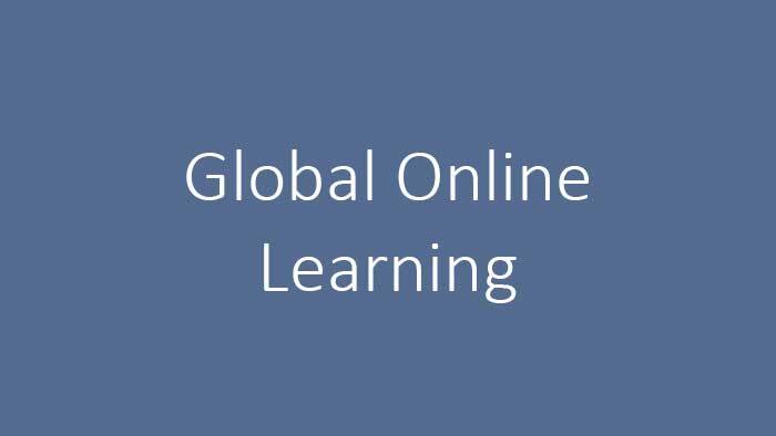 Global Online Learning Program