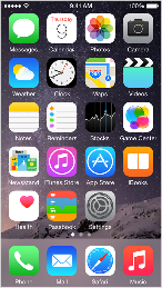 List of App icons showing on iOS screen