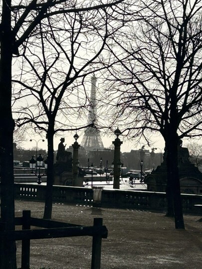 The Eiffel Tower is visible in the distance behind the bare branches of trees in a park