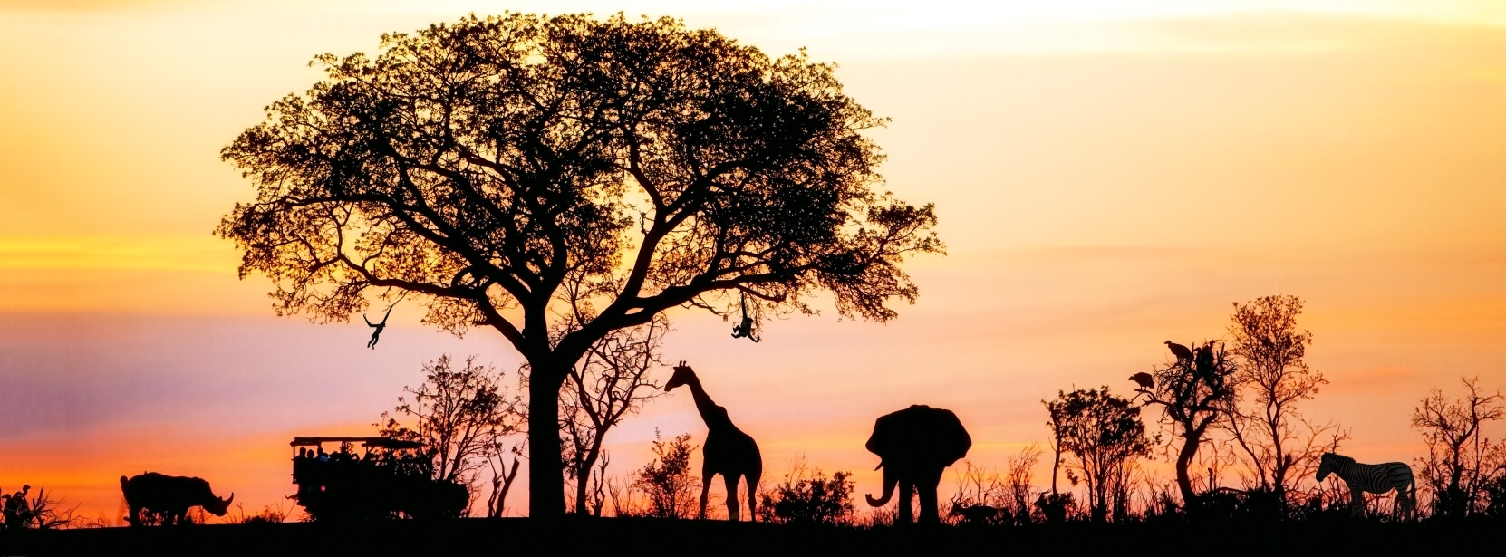 South African wild landscape at sunset